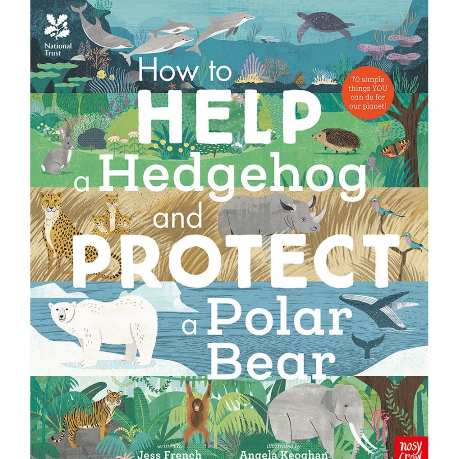 Educational Toys Nosy Crow | How To Help A Hedgehog And Protect A Polar Bear