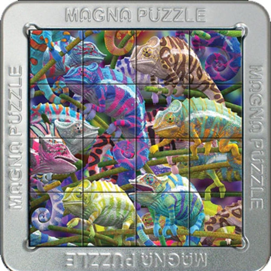 Toys & Games Cheatwell Games | Chameleons Magnetic Puzzle