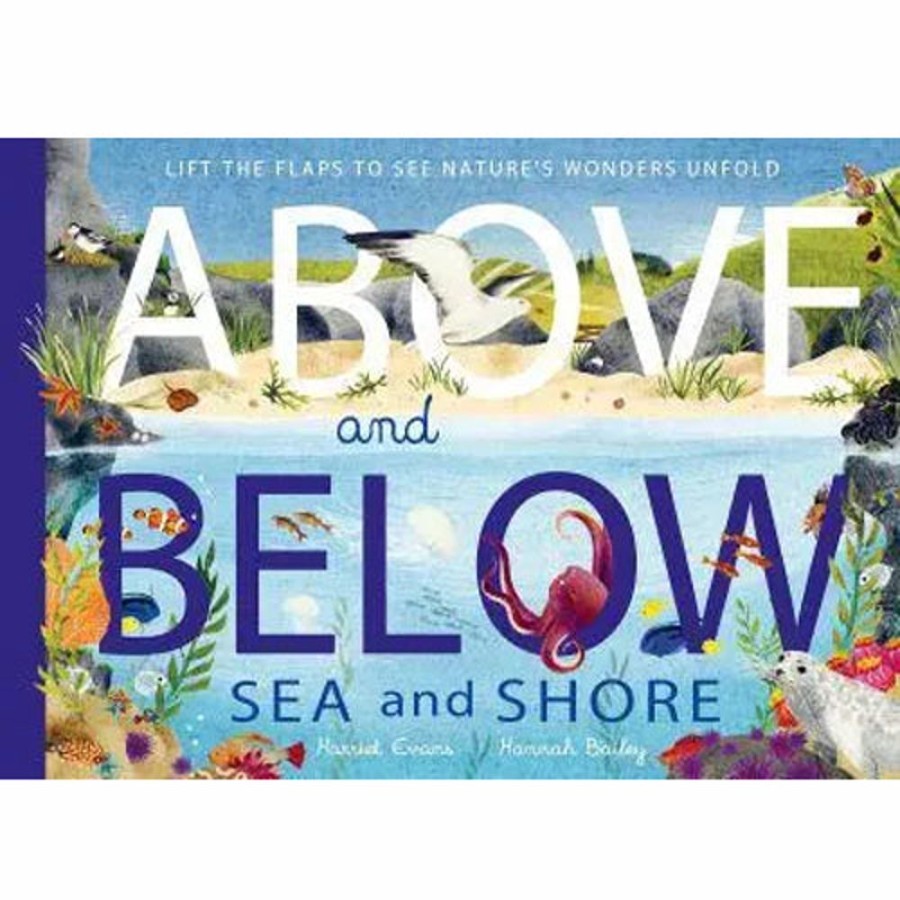 Educational Toys Whirligig Toys | Above And Below Book