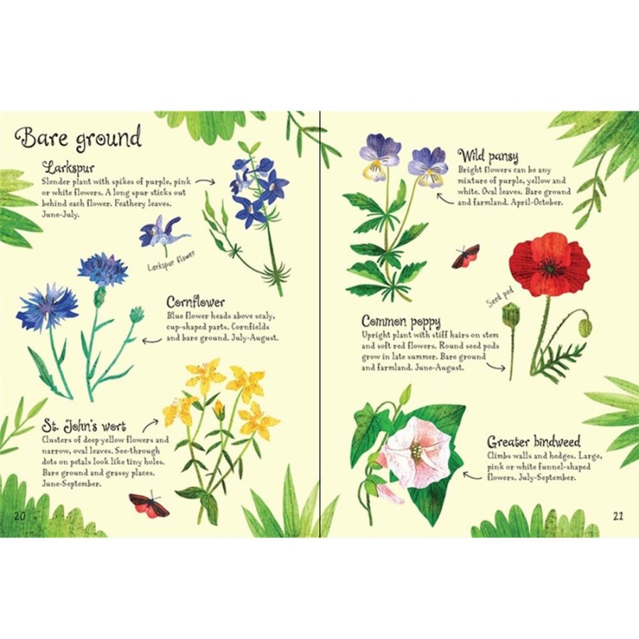 Toys & Games Usborne | Flowers To Spot Mini Book