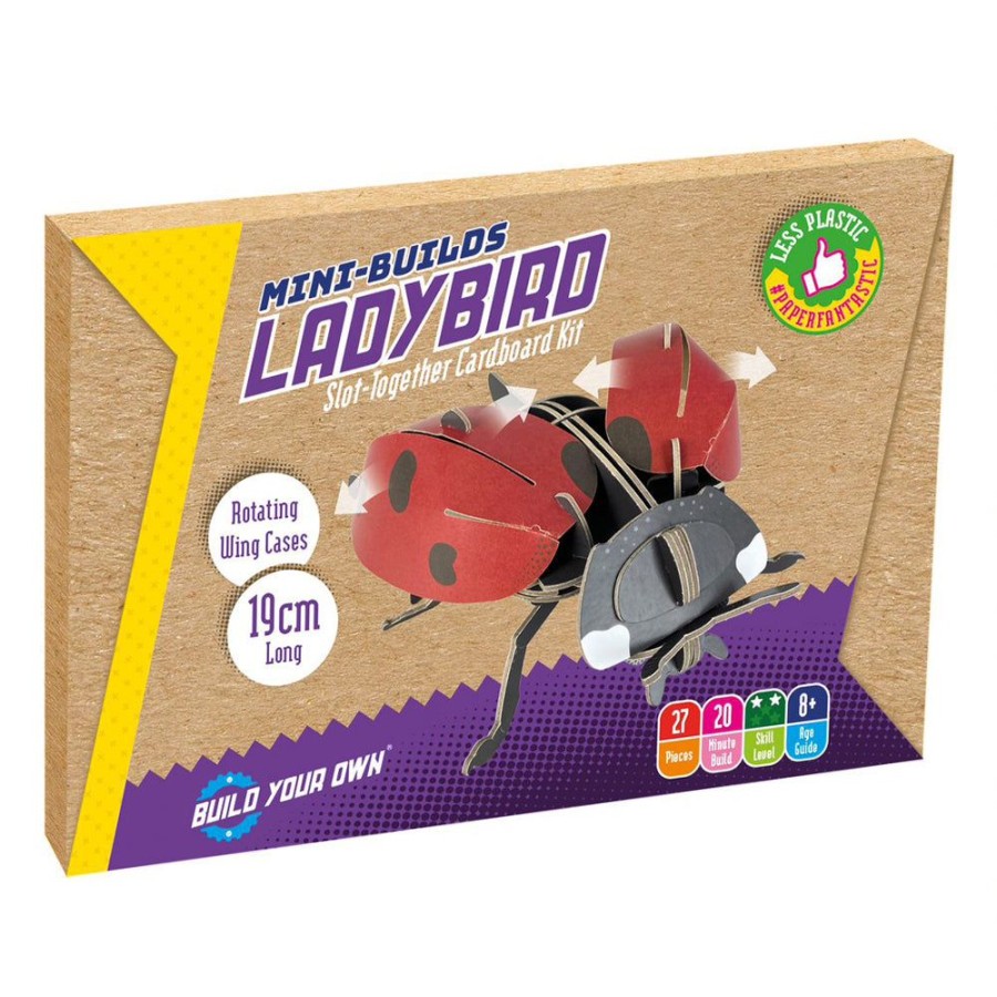 Educational Toys Paper Engine | Build Your Own Ladybird