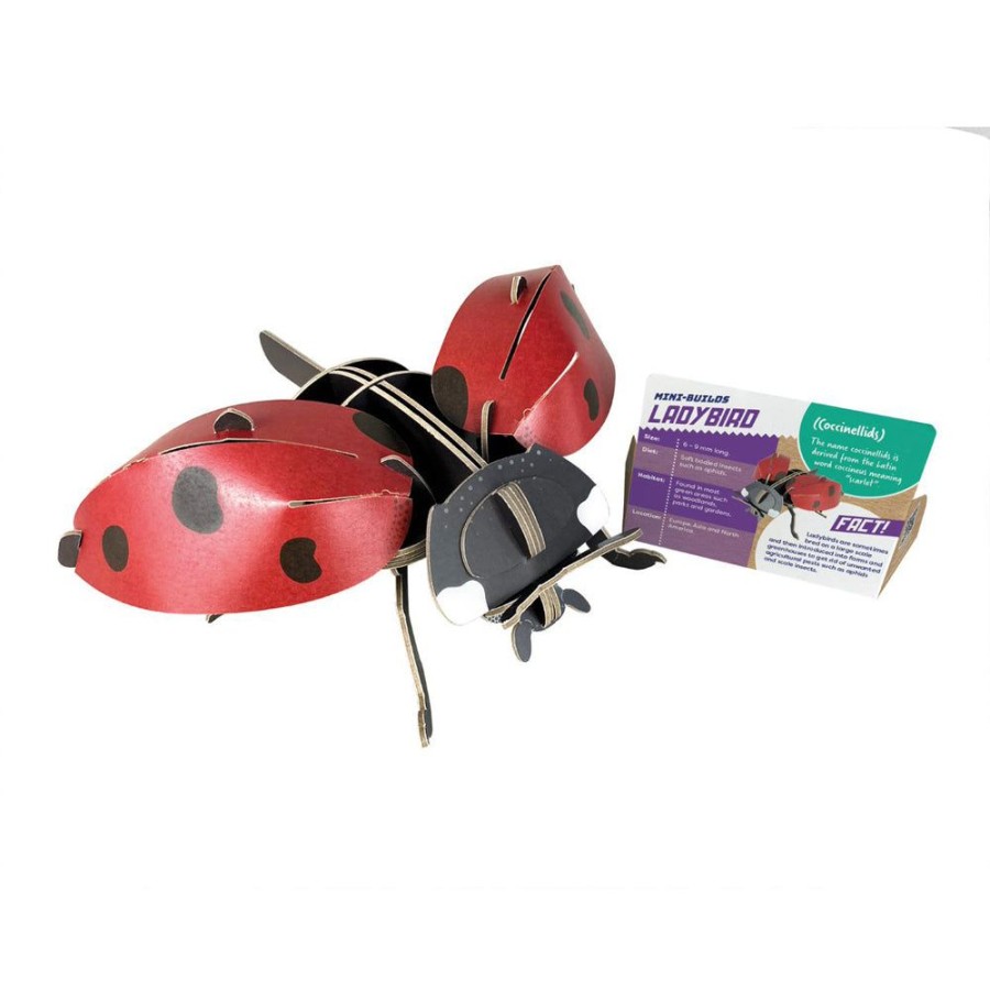 Educational Toys Paper Engine | Build Your Own Ladybird