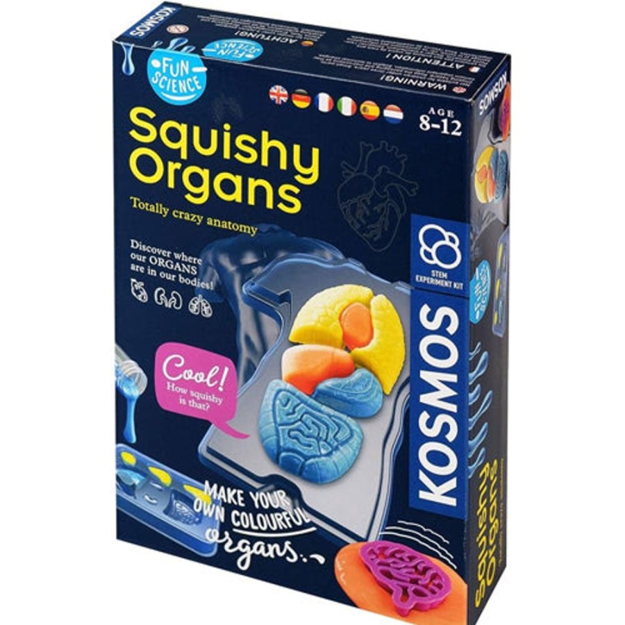 Educational Toys Thames u0026 Kosmos | Squishy Organs Science Kit